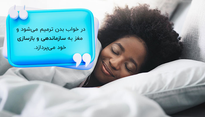 خواب باکیفیت به بازسازی مغز کمک می‌کند. 